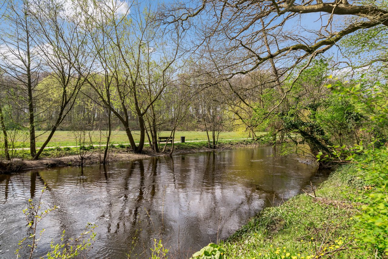 image 04